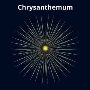 Chrysanthemumm Firework Effect