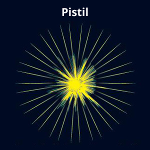 Pistil Firework Effect