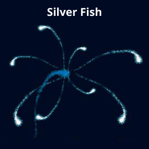 Silver Fish Firework Effect