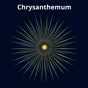 Chrysanthemumm Firework Effect